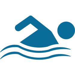 Schwimer Icon